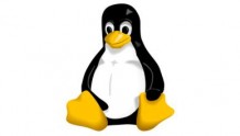 linux 修改文件和文件夹所有者和组